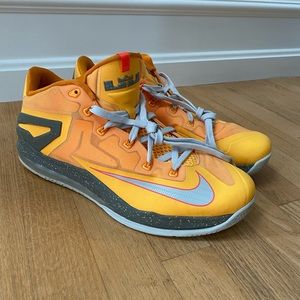 *RARE* Nike Max LeBron XI Low “Floridian”